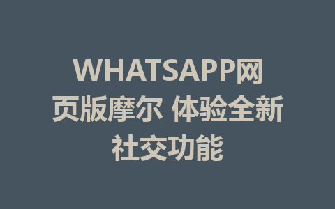 WHATSAPP网页版摩尔 体验全新社交功能